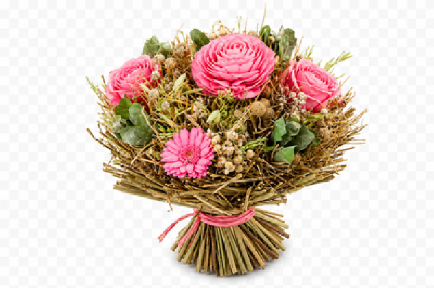 BOUQUET ILER DRY Ø25 ROSA.