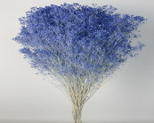 FLOR SECA Y MATERIALES